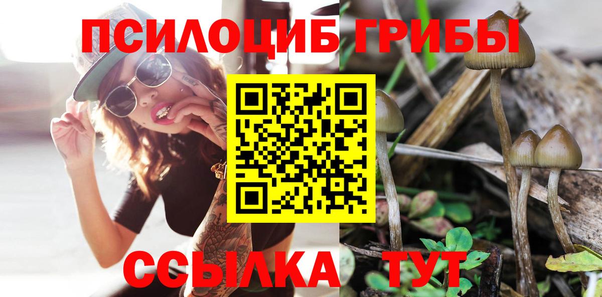 Псилоцибиновые грибы Cubensis  Вход с VPN  Ступино 